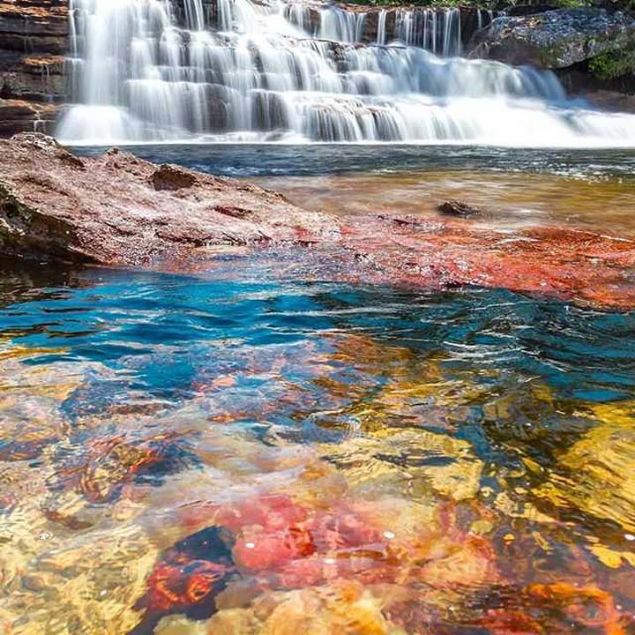 Kolombiyann bakenti Bogotann 170 kilometre gneyinde bulunan ve dnyann en muhteem doal gzelliklerinden biri olan Cano Cristales nehri, ziyaretilerini bylyor.   <br><br>  Yaklak 100 kilometre uzunluktaki Cano Cristalesteki elaleler, nehirler ve aylarda yln birka aynda gzlemlenebilen bir gkkua patlamas yaanyor.  