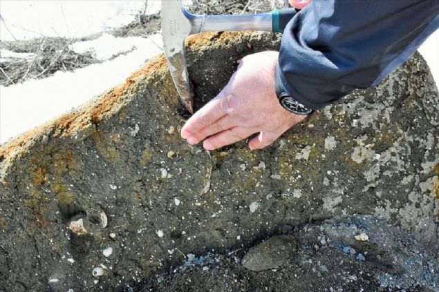 Aratrma sonucunda blgede bulunan fosillerin imdiki Mu Ovas ile Van'a kadar uzanan blgeyi kapatan Acsu Gl'ne ait olduunu tespit eden aratrma ekibi, aldklar rnekler zerinde yaptklar incelemeler sonucu fosillerin yaklak 11 milyon yllk olduunu belirledi. 