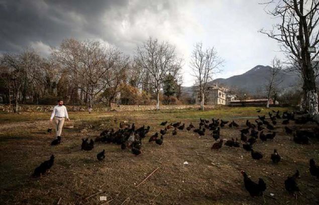 'Olumlu etkisinin olduu sylenebilir'   <br><br>  Bursa Uluda niversitesi Veteriner Fakltesi Zootekni ve Hayvan Besleme Blm Bakan Prof. Dr. Mehmet Mustafa Oan, bilimsel olmayan ancak mziin tavuklar zerindeki olumlu etkilerinden bahseden bildirimler bulunduunu ancak mziin tavuklar zerinde verimlere yansyabilecek olumlu etkilerinin olduu konusunun netlik kazanmadn ifade etti. 