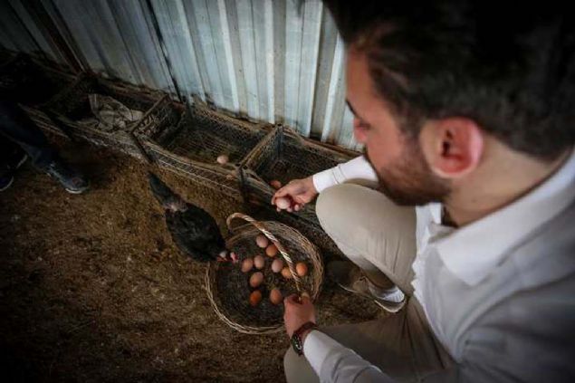 iftlikte de sat yaptklarn belirten Adyaman, yumurtalarn 30'lu kolisini iftlie gelindiinde 25 liraya, teslimat kendileri yaptklar takdirde ise 30 liraya sattklarn ifade etti. 
