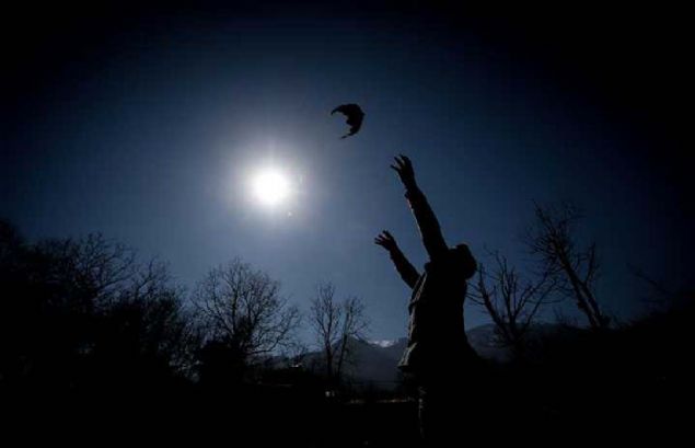 Bu nedenle mziin verimlere dorudan tek bana etkisi belirgin olmasa da hayvanlarda genel stres dzeyini azaltarak olumlu etkisinin olduu sylenebilir.' dedi. 