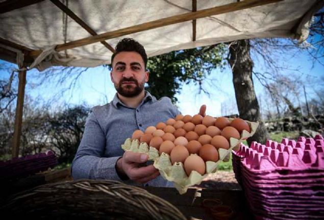 'Doal yumurta' hedefiyle iftliini kuran ve okuduu bir haberden sonra verimi artrmak amacyla hayvanlarna her gn besteci Wolfgang Amadeus Mozart'n eserlerini dinleten 22 yandaki giriimcinin satt yumurtalar, kentte talep gryor. 