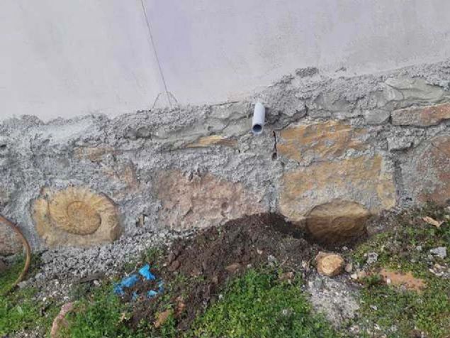 Yaklak 12 yldr duvar ta olarak kullanld belirlenen iki para halindeki dev fosil, bulunduu yerden sklerek mzeye tand. Ekipler, etiner'in duvarn da yeniden rd. 