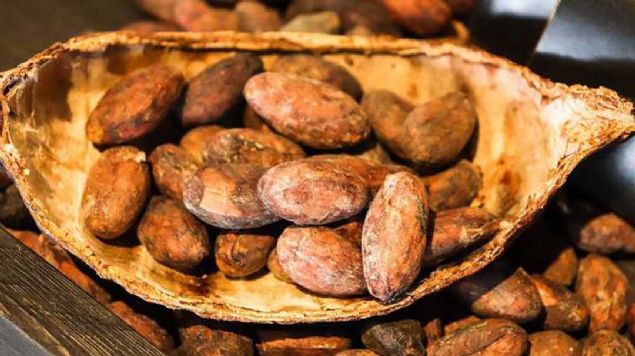 Uluslararas Kakao rgt'nn bildirdiine gre, Aztekler ayn zamanda kakao ekirdeklerini para birimi olarak kullanyorlard. Aztek hakimiyeti altnda yaayan insanlar vergilerini kakaoyla derlerdi. 