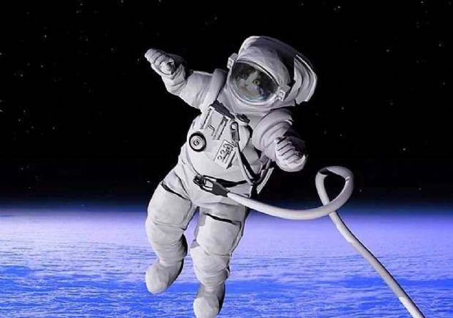 1963'te Uzay'a gnderilen kedi Felix, bu deneyimi yaayan ilk kedigil yesi olmutur.  