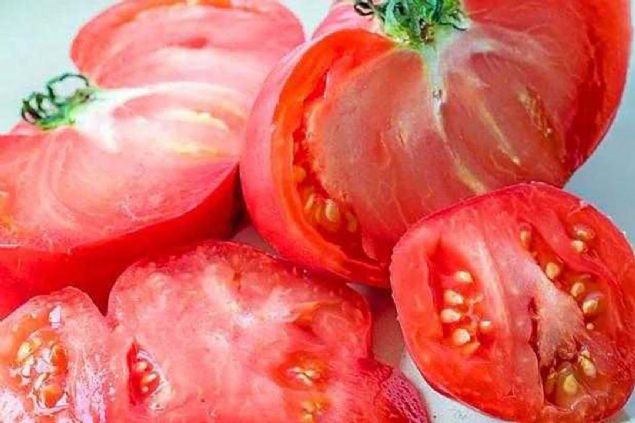 tzm genellikle ok zehirli bir bitki tr olarak bilinir ancak patates,domates ve patlcanla ayn aileden gelirler.   