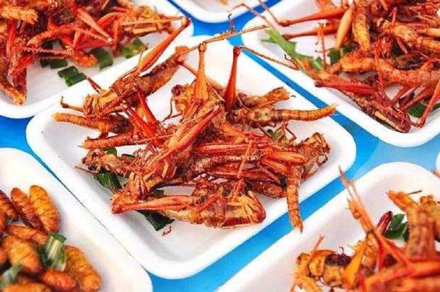 Dnya zerinde 2 milyar insan dzenli diyetlerinin bir paras olarak bcek yerler.   