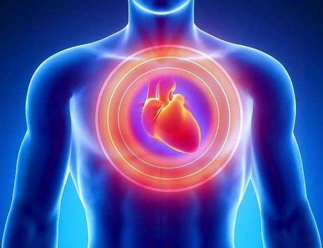 Kalp, 9 metreye kadar kan fkrtma gcne sahiptir.   