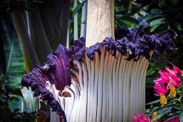 Adn, tad kt kokudan alan ceset ieinin almas iin 6 yl gerekebilir.  