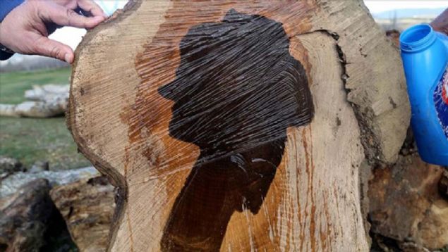 Bunun �zerine Balta'y� arayan �ok say�da ki�i, a�ac� sat�n almak istediklerini belirterek, sil�eti g�rmek i�in Kastamonu'ya geleceklerini s�yledi. 