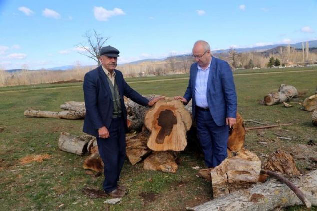 Balta, sil�etin a�ac�n k�k�nden ba�lay�p yukar� do�ru 2 metre devam etti�ini dile getirerek, 'A�ac�n foto�raf�n� sosyal medyada payla�t�ktan sonra olduk�a ilgi g�rd�. �stanbul'dan, Bursa'dan �ok say�da ki�i arad�. 'Biz gelip bakaca��z, ondan sonra sat.' dediler... 