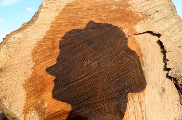 Kesti�i bir a�ac�n g�vdesinde 'kad�n sil�eti' oldu�unu fark edince �a��rd���n� anlatan Balta, meslek hayat� boyunca �ok say�da a�a� kesmesine kar��n ilk kez b�yle bir durumla kar��la�t���n� s�yledi. 