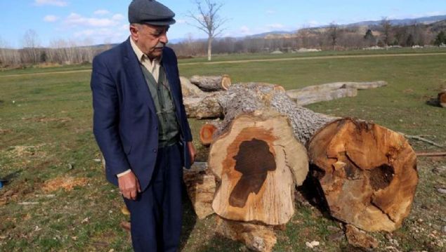 Kastamonu'nun Dokuzkat k�y�nde odunculuk yapan Osman Balta, kesti�i bir ceviz a�ac�n�n g�vdesinde 'kad�n sil�eti' oldu�unu fark etti.  