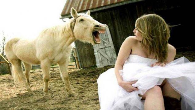 Sosyal medya kullanclar tarafndan en ok beenilen ve paylalan fotoraflar sizler iin derledik... 