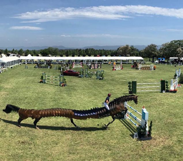 Limo atlarndan Cerberus kpeklerine ve ok bacakl kedilere kadar internet zerindeki bu efsanevi hayvanlarn tonlarca panoramik fotoraf olduu ortaya kt,   