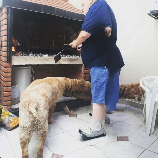 Manzaralar sadece bir tua dokunarak kolayca yakalanabilir, sabit bir el ile taranabilir ama ya ok hareketli nesneyi fotoraflamak istediinizde ne olur? (deerli evcil hayvanlarnz gibi) Sekiz bacak, iki kafa ve alt kuyruklu bir yaratk!  