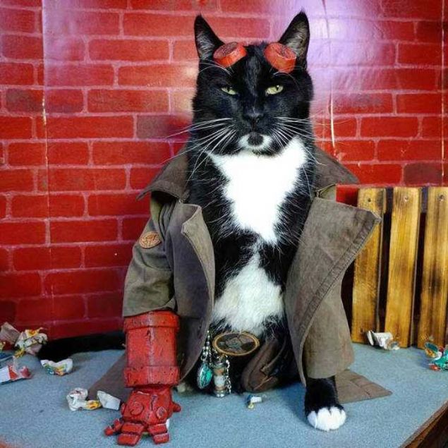 Sosyal medya kullanclar tarafndan en ok beenilen ve paylalan fotoraflar sizler iin derledik... 