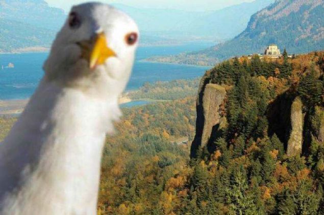 Sosyal medya kullanclar tarafndan en ok beenilen ve paylalan fotoraflar sizler iin derledik...  