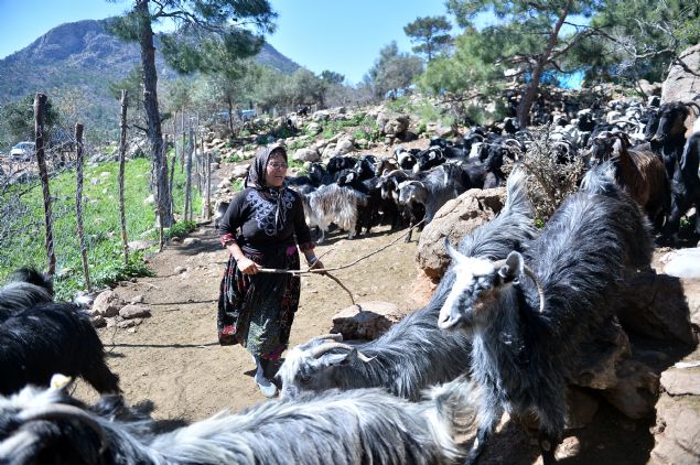 G�� DE YA�AM KADAR ZOR  <br><br>  Kom�uluk ba�lar�n�n eskimedi�i konarg��erlik k�lt�r�nde, orman�n farkl� b�lgelerinde kalan Y�r�kler ak�am saatlerinde ayn� �ad�rda bir araya gelerek, yine odun ate�inde pi�en �ay e�li�inde sohbet ediyor. 