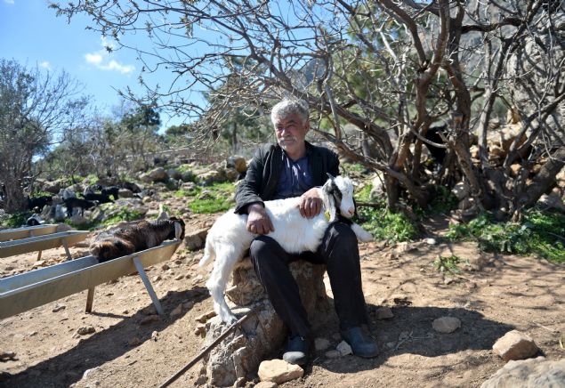 Her g�n�n kendileri i�in zorlu ge�ti�ini belirten G�b�t, ��yle dedi:    'Da�larda, herkesin kendine g�re yeri var. Geliyoruz, �ad�rlar� kuruyoruz ve kalaca��m�z yerleri haz�rlay�p, s�r�lerimizi ayarl�yoruz. Biz sabah uyan�p, kahvalt�m�z� yapt�ktan sonra ilk i� olarak sabah�n erken saatlerinde s�r�m�z�n ba��na gidiyoruz. O�laklar�m�z� emzirtiyoruz, s�t� al�nacak hayvanlar�m�z� sa��yoruz. Daha sonra o�laklar� b�rak�p, yeti�kin s�r�m�z� yemleyip, yaymaya g�t�r�yoruz. ��le vakitlerinde �ad�r�m�z�n oldu�u b�lgeye geri geliyoruz. 1-2 saat dinlenen s�r�m�z� tekrardan da�lara yaymaya g�t�r�yoruz.'   