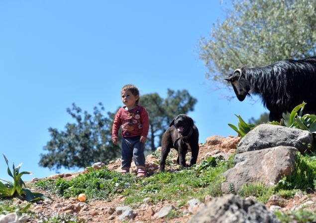 Ailenin en k���k ferdi olan Bayram bebe�in en yak�n arkada�� ise kar�� �ad�rda kalan arkada�� 2 ya��ndaki Seyhan Baca oluyor. K�pekler ve o�laklar da �ocuklar�n oyunlar�na adeta e�lik ediyor. 