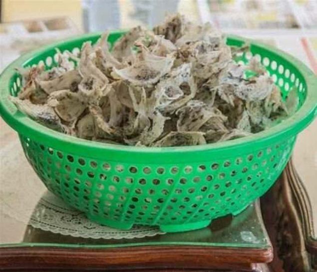 Vietnam'da krlang yuvalar insanlar adeta zengin yapyor.Bu kularn tkrkleri ile hazrladklar bu yuvalarn insan sal iin nemli bir etkisi olduuna inanyorlar.          