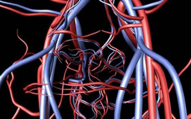 Vcudumuzdaki tm damarlar u uca ekleseniz 19 bin 200 kilometre eder.                      