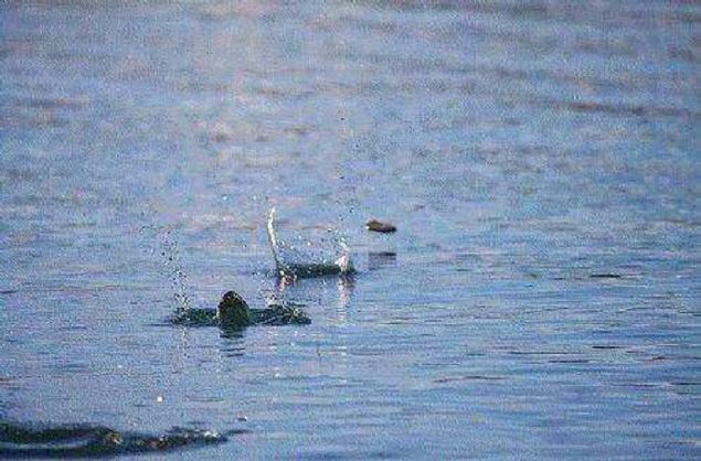 Dnya'ya den en byk meteor, krater oluturmamtr. Meteor, yaps itibariyle keli ve kenarlar dz olduu iin, muhtemelen bir tan suda sekmesi gibi yzeyde sekmi ve durmutur.                           