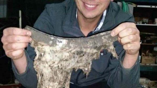  amarlarnzn iki ay sonunda ayrmas gerekiyor, eer ayrmazsa topraa gbre ekleyerek daha salkl hale getirebilirsiniz.     