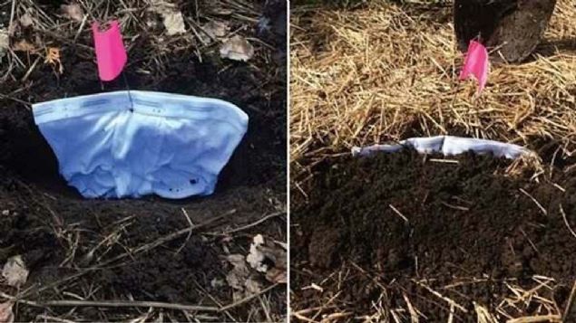 Etkinliin bir paras olmak iin 15 cm derinliinde bir ukura i amarn gmn. Yatay koyduunuz i amarnn zerini toprakla kapatn.        