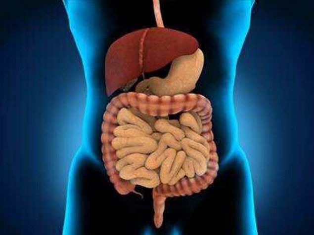 Vcudunuzun ok yal bir yemei sindirmesi 6 saat srerken, karbonhidrat arlkl bir yemei sindirmesi 2 saatte tamamlanr.                    