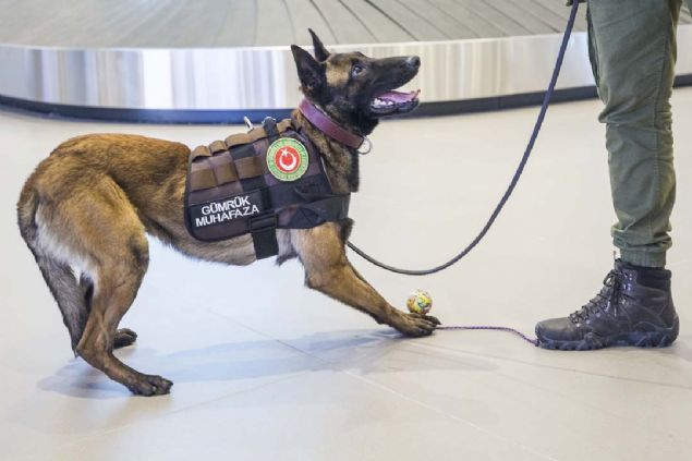 '25 bin TL ve 10 bin avro st parann beyan edilmesi gerekiyor'  <br><br>  Yurt dna kta gtrlebilecek 25 bin TL ve 10 bin avro zerindeki parann beyan edilmesi gerektiini belirten Acar, szlerini yle tamamlad:   