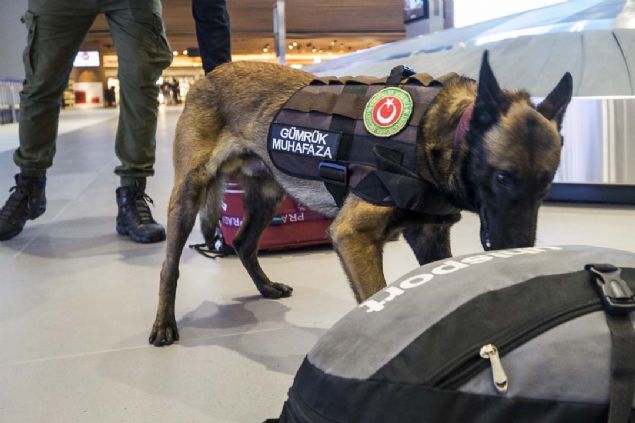 Janti, 4 ay nce greve balad  <br><br>  Belika kurdu Malionis cinsi olan 1,5 yandaki Janti, Ticaret Bakanl Kpek Eitim Merkezi'nde eitimlere ve testlere tabi tutuldu.   