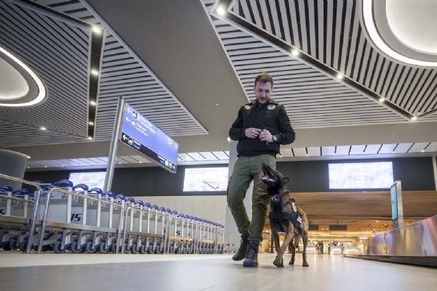 Orun Acar, kpeklerin burun hassasiyetini diri tutmak iin devaml uygulama yapldn ve kokuyu unutmamalarn salamak adna istenen maddeyi bulmalar iin srekli eitim grdne dikkati ekerek, ayrca dedektr kpeklerin, salkl olmalar iin kaliteli mamayla beslendiini ve zel yerlerde barndn kaydetti.   