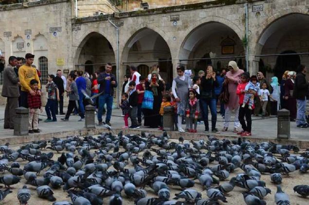 Otellerimiz �u an dolu. Ekim, kas�m aylar�nda da yine rezervasyonlar�m�z �ok iyi durumda. Kent i�in '�l� sezon' olarak nitelendirdi�imiz kas�m, aral�ktaki rezervasyonlar bile �anl�urfa'da turizmin, y�l�n belirli aylar�ndan ��k�p tamam�na yay�ld���n� g�stermesi a��s�ndan �ok �nemli' dedi. 