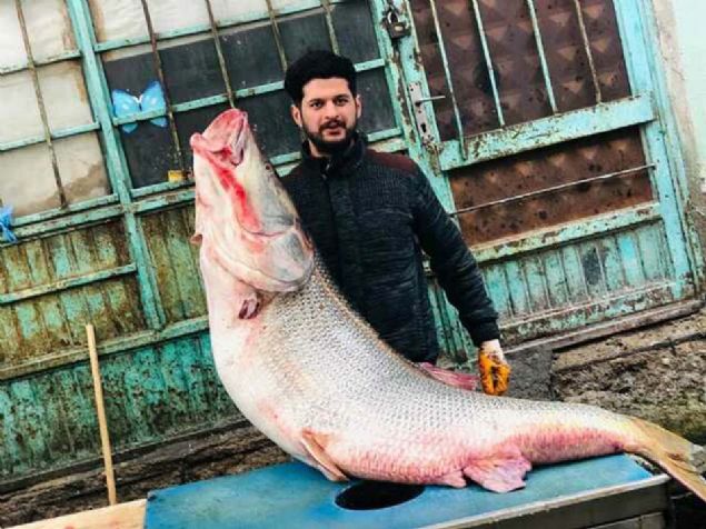 te grenleri akna uratan o balk; 