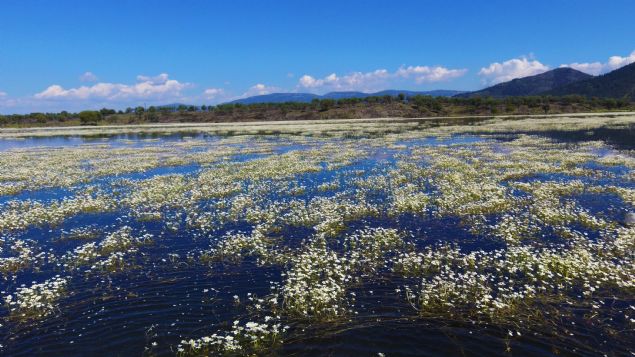'NSANLAR BALIK TUTACAK, SANDALLA GEZECEK'  <br><br>  Mehmet Karata, Hassa'nn bu tr deerlerine sahip klacan vurgulayarak, 'Su seviyesinin korunmasnn ardndan glde balk retimi yapacaz. evresinde mesire yerleri yaparak halkn hizmetine sunacaz. nsanlar bu doal gzellik ierisinde teknelerle gezecek, piknik yapacak, balk tutacak. Kyllerimiz de buradan gelir salayacak.' eklinde konutu.  