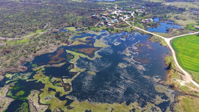 'Haydarlar Gl, fauna ve florasyla kentin en nemli tabiat deerlerinden. Buras Hatayllar tarafndan dahi ok az bilinmekte. Buray tantmak istiyoruz. Buras, kayalarn ierisinden domu doal bir gl alan. Asrlar nce volkanik bir patlama sonucu oluan kayalarn arasndaki bu gl, manzarasyla harika bir yer. Hatay sakl bir cennet gibi. Trkiye'nin ak hava mzesi. Bu mzenin en nemli paralarndan, destinasyonlarndan birisi de Hassa ilemizdir.'  