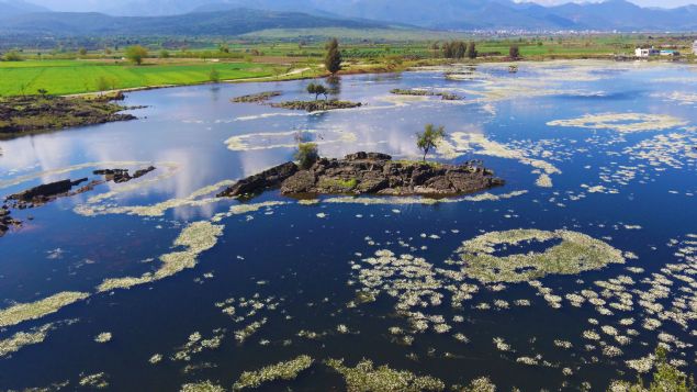 Hassa Belediye Bakan Mehmet Karata yapt aklamada, doal bir gl olan Haydarlar'n birok yabani ku trne ev sahiplii yaptn belirtti.  