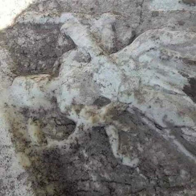 G�revlilerin haber vermesi �zerine kaz� yerine polis ekipleri sevk edildi. Kaz� yerinde g�venlik �nlemi alan ekipler, durumu m�ze m�d�rl��� yetkililerine bildirdi.  