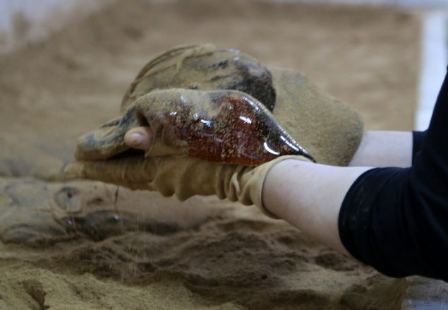 <p style='box-sizing: border-box; margin: 0px 0px 10px; padding: 0px; border: 0px; list-style-type: none; color: rgb(51, 51, 51); font-family: "Roboto Condensed"; font-size: 19px;'> Dönemin Sultan Camisi Medresesi'nin başına getirilen Merkez Efendi'nin, zencefil, zulumba, kremtartar, kişniş, kebabiye, havlican, Hindistan cevizi, anason ve yeni bahar gibi 41 çeşit baharatı karıştırarak hazırladığı mesir macunu, o günden bu yana her yıl gerçekleştirilen saçım töreniyle nesilden nesile aktarılarak bugüne geldi.</p> <div> </div>