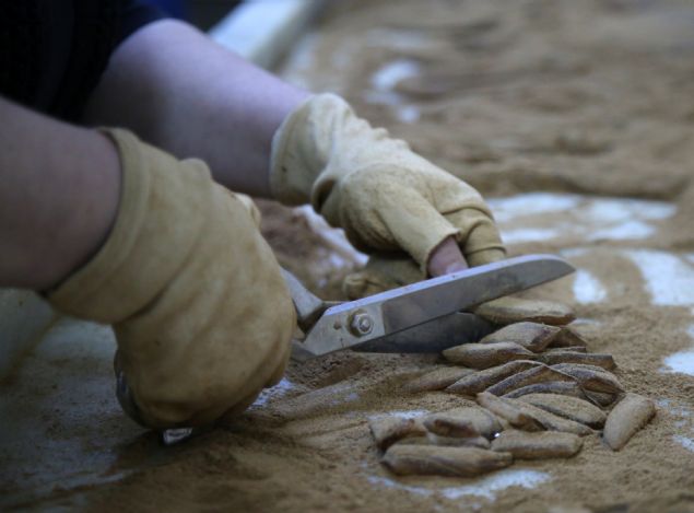 <p style='box-sizing: border-box; margin: 0px 0px 10px; padding: 0px; border: 0px; list-style-type: none; color: rgb(51, 51, 51); font-family: "Roboto Condensed"; font-size: 19px;'> Kokusu, lezzeti, iştah açıcı, kan dolaşımını düzenleyici, yorgunluğu giderici, hormonları çalıştırıcı özellikleriyle talep gören ve pek çok hastalıkta şifa kaynağı olarak görülen 5 asırlık gelenek mesir macunu, Manisa'yı Mesiri Tanıtma ve Turizm Derneği tarafından 2013'te Türk Patent ve Marka Kurumuna yapılan başvuru sonucu, bu yıl coğrafi işaret alarak tescillendi.</p> <div> </div>