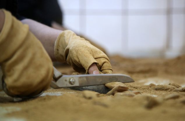 <p style='box-sizing: border-box; margin: 0px 0px 10px; padding: 0px; border: 0px; list-style-type: none; color: rgb(51, 51, 51); font-family: "Roboto Condensed"; font-size: 19px;'> Coğrafi işaretle tescillenmesinin ardından "Manisa Mesir Macunu" olarak anılmaya başlanan, üretim standardına kavuşan ürünün, bundan sonraki süreçte tanıtımının artırılarak kentin önemli ekonomik değerlerinden biri haline getirilmesi hedefleniyor.</p> <div> </div>