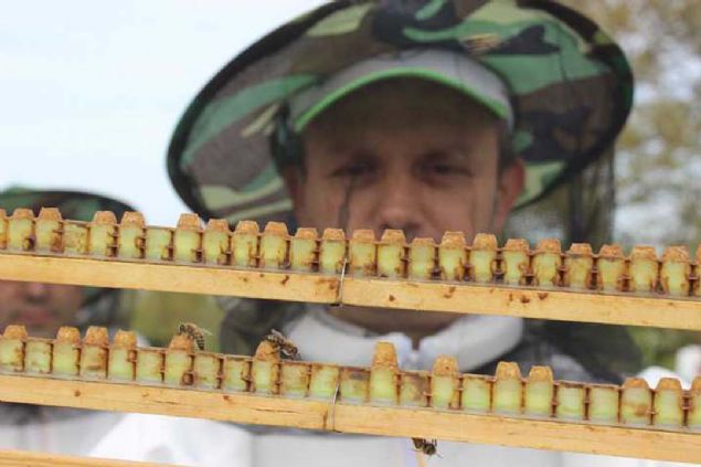 Stn kilosunun 6 bin liradan satld belirtilirken, retici Mehmet Durgut, siparilere yetimeye alyor. 