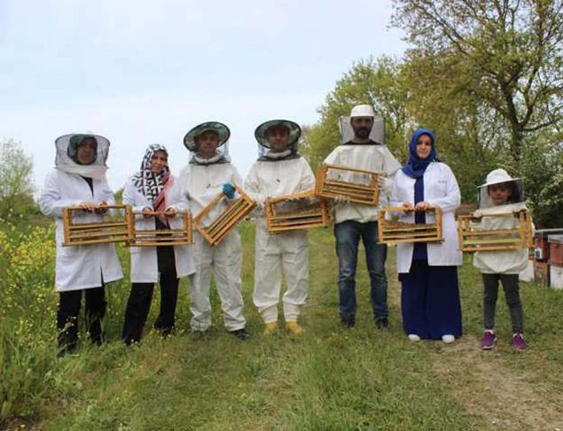 Bursa'da 6 kiilik ailesiyle birlikte 120 kovan arasndan ar st samna balayan Mehmet Durgut, 'Her kovanda 9 ta bulunuyor. Bu talardan gnde sadece bir tanesi alp sam yapyoruz... 