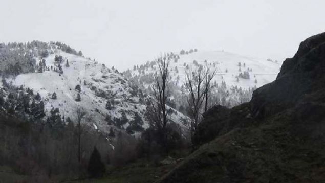 Bununla beraber kar makinelerinin teminiyle birlikte yatrm gerekletirip, inallah bu dnem Gmhane Belediyesi olarak nderliini biz yapacaz. Turizm asndan ok nemsediimiz proje ile ehrimizin dier ilelerine gelen turistlerimizi kent merkezine ekmek istiyoruz. Bu proje 2023'e damga vuracaktr' diye konutu. 