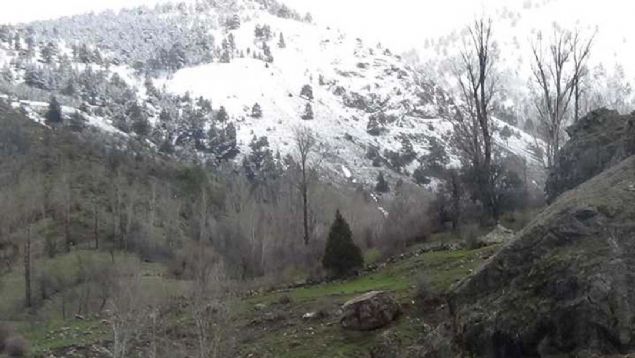 ehrimizin, esnafmzn ekonomik olarak rahat bir nefes alabilecei bu projeye ok nem veriyoruz. evremizde nl kayak merkezlerinden biri olan Palandkeni rnek almay dnyoruz. Proje almas tamamland. En ksa sre ierisinde ekiplerimiz almalara balayacak' dedi. 