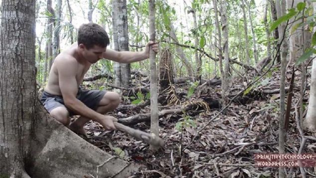Ormanda bir bana yaptna bakn! 