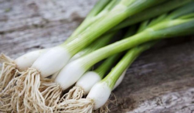 YE��L SO�AN  <br><br>  27 kalori (100 g) Besin puan�: 65  <br><br>  Bak�r, fosfor ve magnezyum bak�m�ndan zengin ye�il so�an ayn� zamanda iyi bir K vitamin kayna��d�r. 