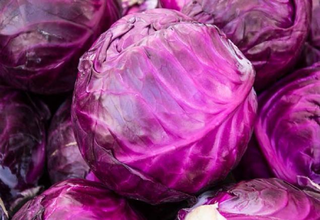 KIRMIZI LAHANA  <br><br>  31 kalori (100 g) Besin puan�: 65  <br><br>  Vitaminler bak�m�ndan zengin bu bitkinin yabani akrabalar�n�n Avrupa veya Akdeniz'de deniz kenar�nda yeti�en bir bitki oldu�u tahmin ediliyor. 